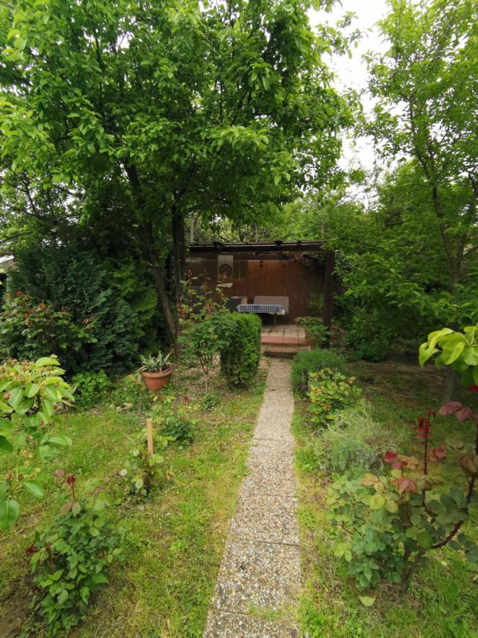 Rodinny Apartman V Dome Košice Exteriör bild